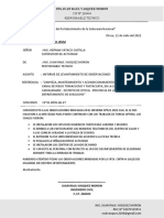 Carta Levantamiento de Observaciones