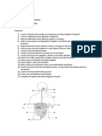 5º Trabajo D 4º Año Sistema Digestivo