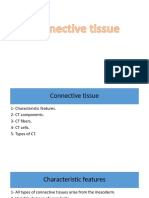 2. Connective tissue 