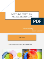 Meio de Cultura Mueller Hinton-Du