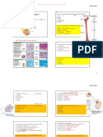 Prac Lab of Histology 91121. Chu y PDF