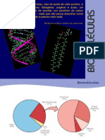 As Biomoléculas