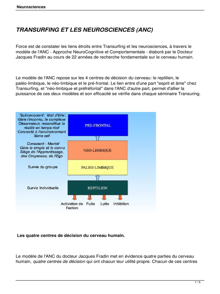 Transurfing et Neurosciences : Lien Essentiel | PDF | Cerveau | Reptile