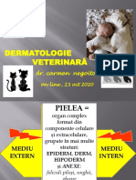 Curs DERMATO 2