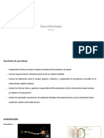 Neurofisiología Rev PDF