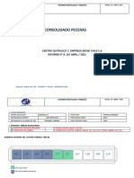 Consolidado Integral Peceras Formato