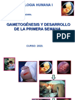 Gametogenesis y Desarrollo de La Primera Semana