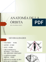 Anatomia de Orbitas y Musculos Extraoculares