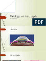 Fisiología Del Iris y Pupila