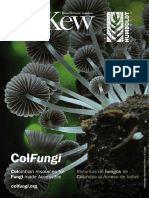 Colombian Resources For Fungi Made Accessible
