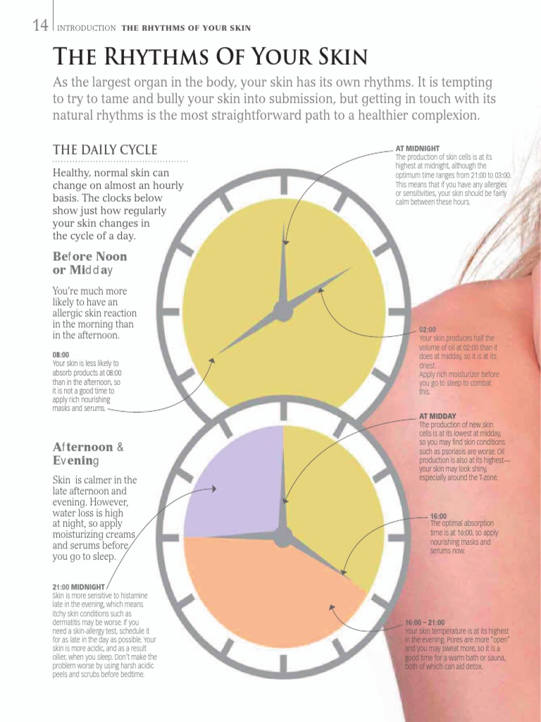 Skin's Daily and Monthly Rhythms | PDF | Diseases And Disorders ...
