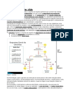 Resumo 10ºano Biologia