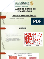 TALLER DE GRADO DE HEMATOLOGÍA Anemia Macrocitica Corregido - pptxTALLER DE GRADO DE HEMATOLOGÍA Anemia Macrocitica Corregido