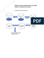 Diagrama Secuencial para La Separacion de Cationes Del Grupo 1 o Grupo de La Plata