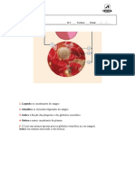 Questão de aula sobre constituintes do sangue