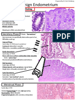 Benign Endometrium