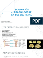 Clase Estudio SNC Fetal