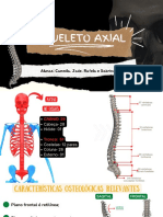 Cinesiologia Humana, Esqueleto Axial