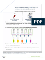 Protocolo Tinción Muestra