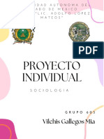 Proyecto Individual Sociologia PDF