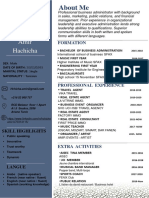CV Amir1) PDF