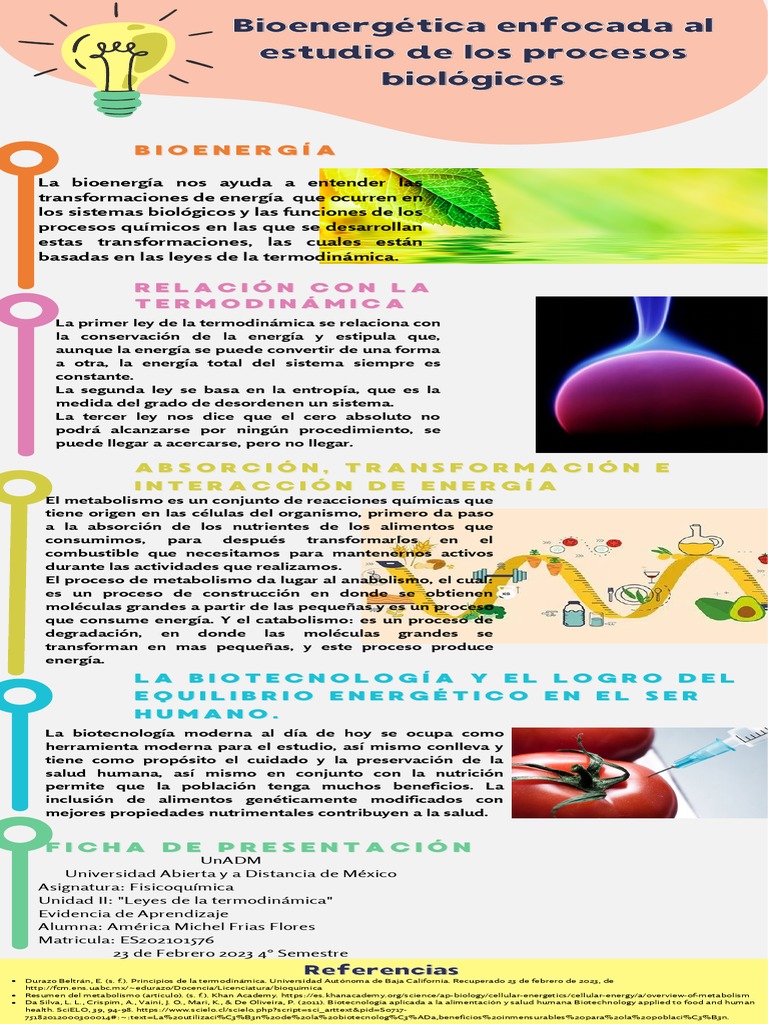 Bioenergética Enfocada Al Estudio de Los Procesos Biológicos | PDF ...