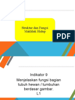 II. Fungsi Dan Struktur