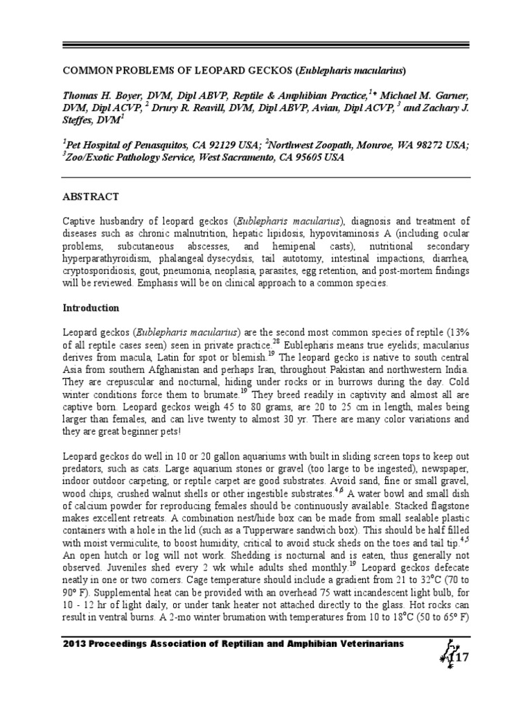 COMMON PROBLEMS OF LEOPARD GECKOS (Eublepharis Macularius) | PDF