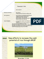 New efforts to enhance the yield potential of rice through GRiSP