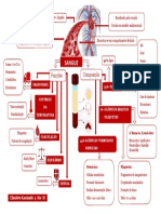Atividade 1 - Sangue