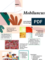 Mobiluncus: características, patologías asociadas y diagnóstico