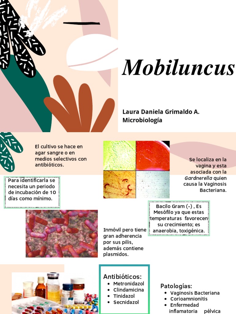 Mobiluncus y Vaginosis Bacteriana | PDF | Las bacterias | Epidemiología