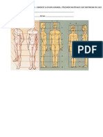 Actividad - Figura-Rostro Humano