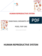 3 Reproduction System 2023