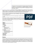 Vitamina K PDF