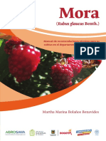 13 Manual Mora 2020 EBOOK PDF