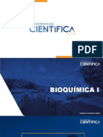 Clase 10 Bioquímica PDF