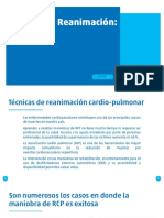 RCP y DEA PDF