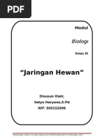 Download jaringan-hewan by Yolanda Sutanto SN63072835 doc pdf