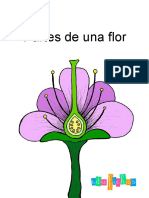 Partes de Una Flor Edufichas PDF