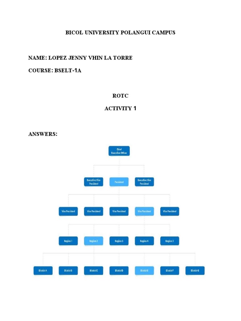 CHAIN OF COMMAND WPS Office PDF