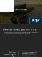 Nether Lands