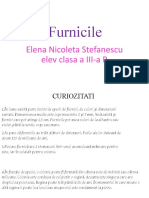 Furnicile