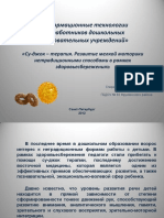 sudzhok_terapija_kopija.pdf