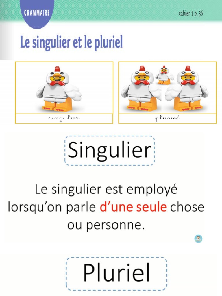 Le Pluriel Et Le Singulier – Pluriel Et Singulier Cp – MRDHN