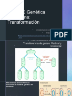 Tema 10 GenÃ©tica Bacteriana-Transformaciã N