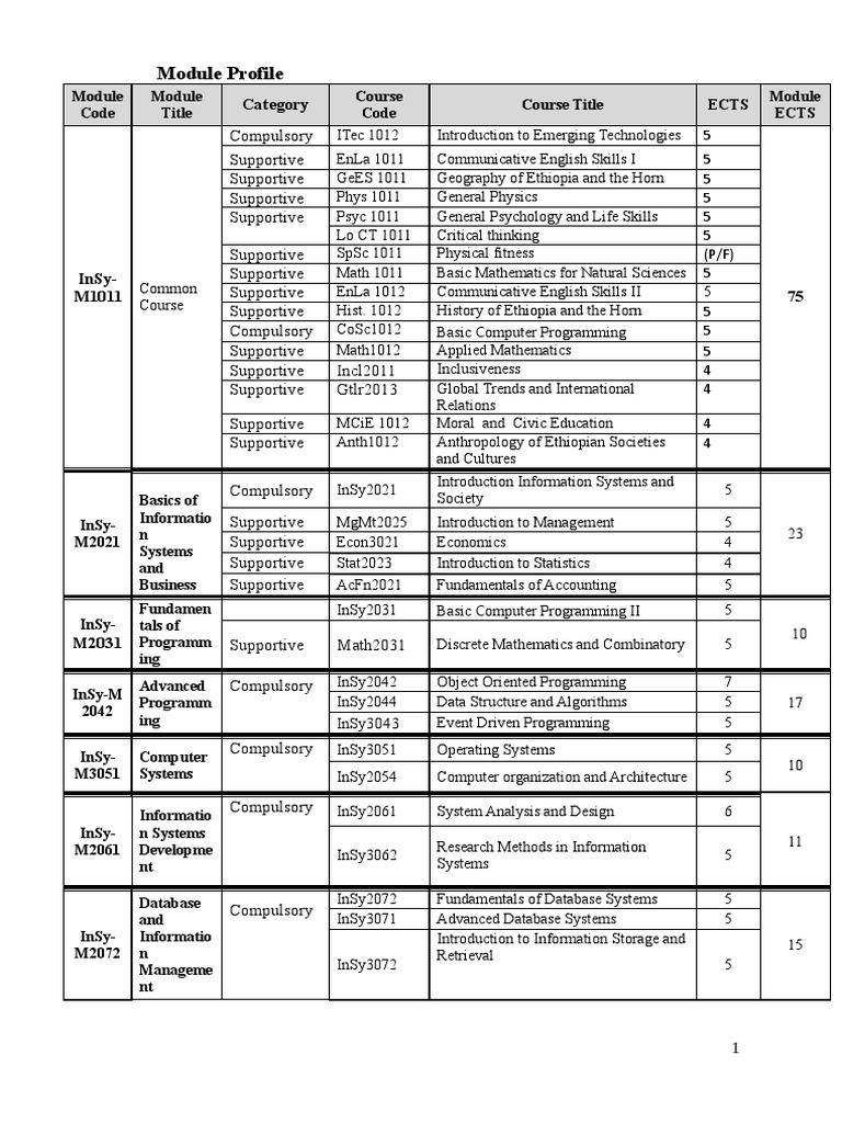 Comprehensive Module Overview for IT Courses | PDF | Information | System