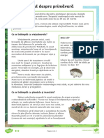 Totul Despre Primavara - Fisa de Lectura Si Intrebari Clasa A III-a PDF