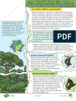 Padurea Tropicala Amazoniana - Fisa de Lectura Si Intrebari Clasa A III-a PDF