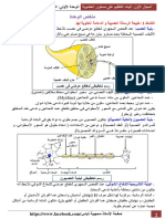 الوحدة الأولى - التنظيم العصبي